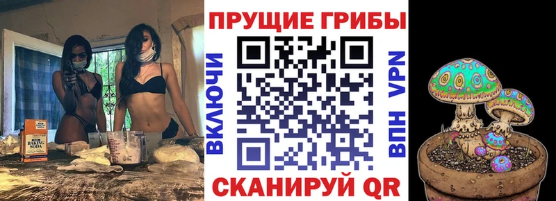 Псилоцибиновые грибы MAGIC MUSHROOMS Новый Оскол